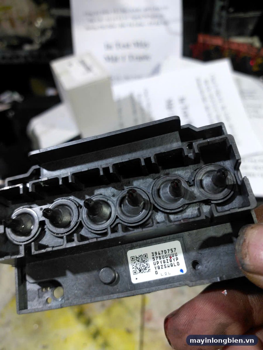Đầu in Epson L805 tháo ra kiểm tra tại xưởng Thần Vũ