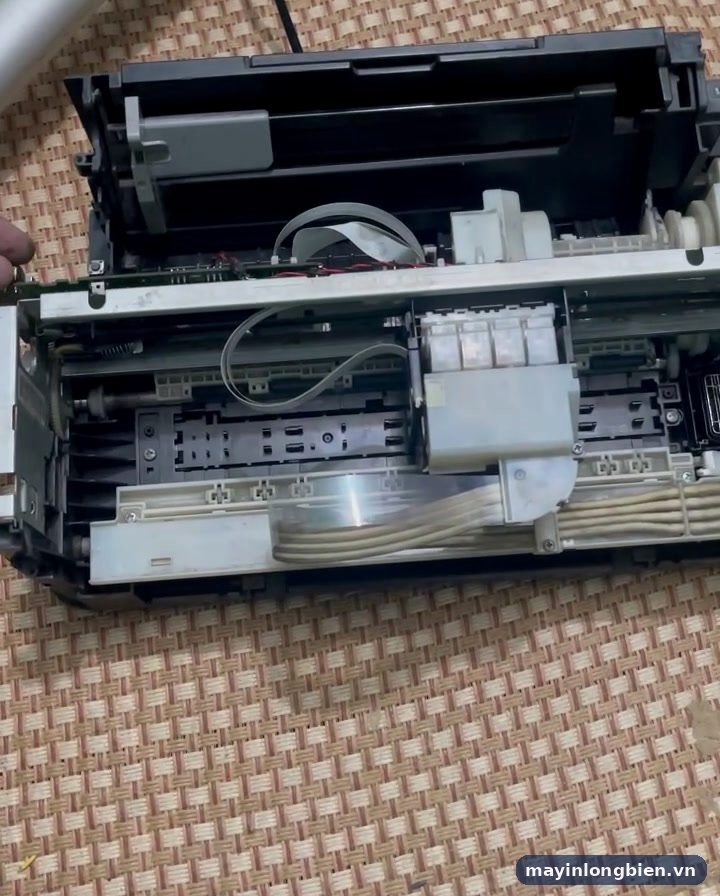 Tháo vỏ Epson L310 kiểm tra cụm kéo giấy tại xưởng