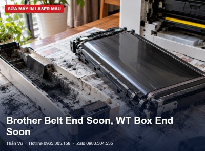 Brother Belt End Soon, WT Box End Soon | Thần Vũ