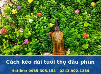 Cách Kéo Dài Tuổi Thọ Đầu Phun Máy In Tận Nơi, Báo Giá Trước