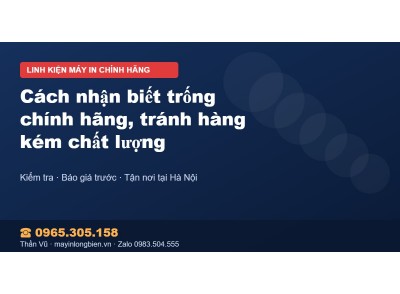 Cách nhận biết trống chính hãng, tránh hàng kém chất lượng