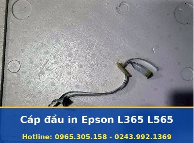Cáp Đầu In Epson L365 L565 Đúng Theo Máy, Uy Tín, Có Báo Giá
