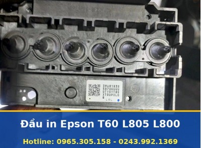 Đầu In Epson T60 L805 L800 Đúng Loại Rõ Nguồn Gốc, Cân Chỉnh