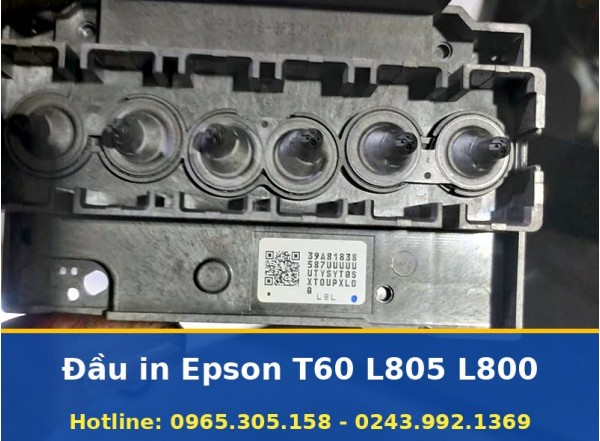 Đầu In Epson T60 L805 L800 Đúng Loại Rõ Nguồn Gốc, Cân Chỉnh