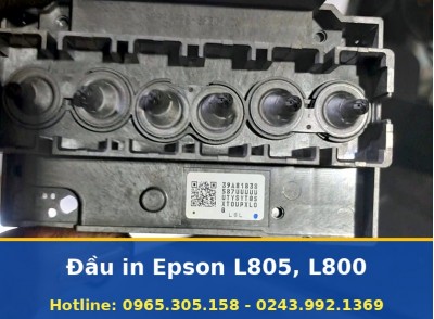 Đầu In Epson L805 Và L800 Đúng Máy Cho Cả Dòng 6 Màu Tận Nơi