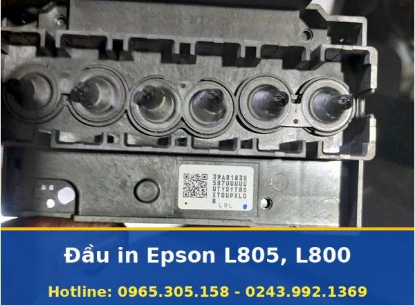 Đầu In Epson L805 Và L800 Đúng Máy Cho Cả Dòng 6 Màu Tận Nơi