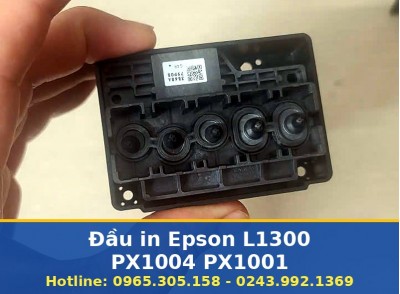 Đầu In Epson L1300 PX1004 PX1001 Tại Hà Nội, Uy Tín, Tận Nơi