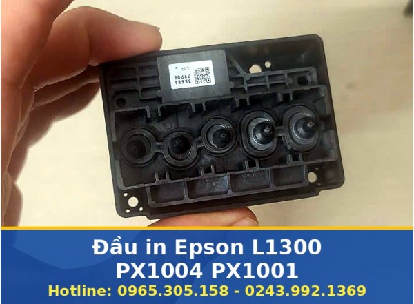 Đầu In Epson L1300 PX1004 PX1001 Tại Hà Nội, Uy Tín, Tận Nơi