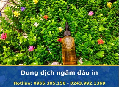 Dung Dịch Ngâm Đầu In Máy In Màu Canon Epson Brother, Uy Tín