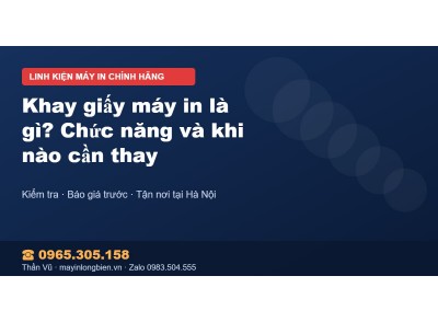 Khay giấy máy in là gì? Chức năng và khi nào cần thay