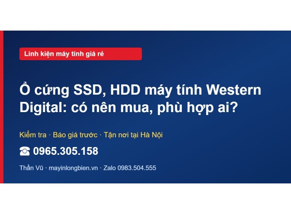Ổ cứng SSD, HDD máy tính Western Digital: có nên mua, phù…