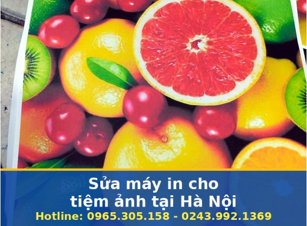 Sửa Máy In Cho Tiệm Ảnh Tại Hà Nội Uy Tín, Tận Nơi, Lấy Ngay