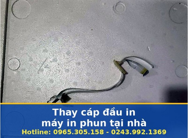 Thay Cáp Đầu In Máy In Phun Tại Nhà Hà Nội Uy Tín, Nhanh Gọn