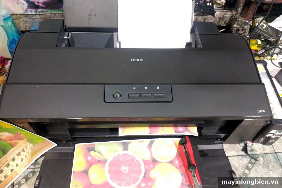 Máy in phun màu Epson khổ lớn đang in ảnh trái cây
