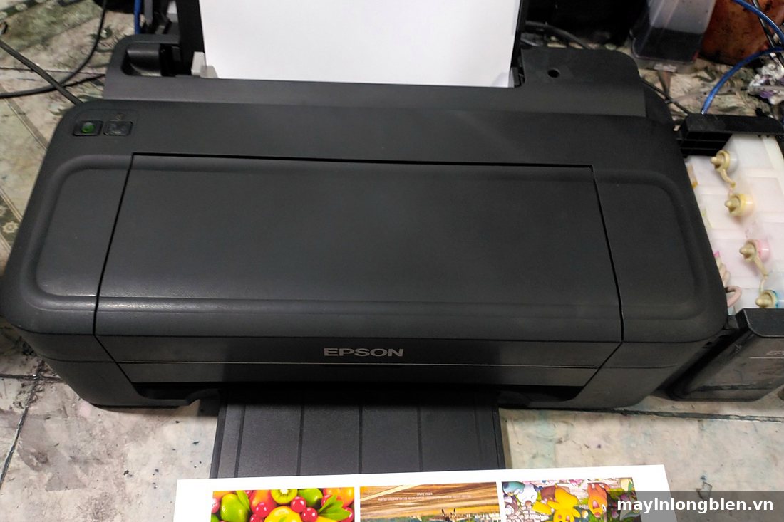 Máy in phun màu Epson L300 L310 đang in ảnh trái cây